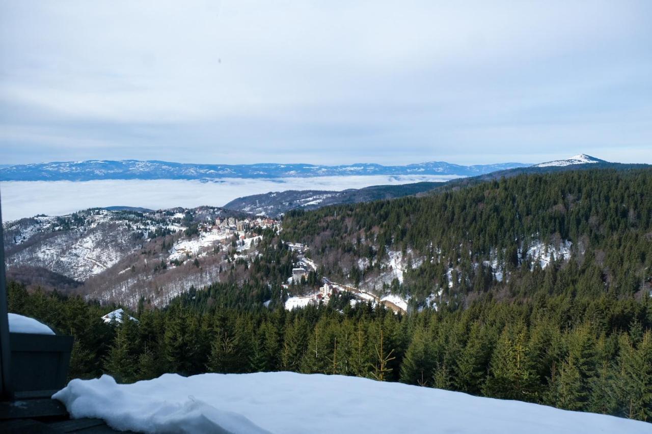 Vila Planinsko Blago Kopaonik Zewnętrze zdjęcie